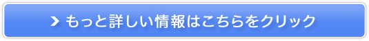 `F[uI̔TCg